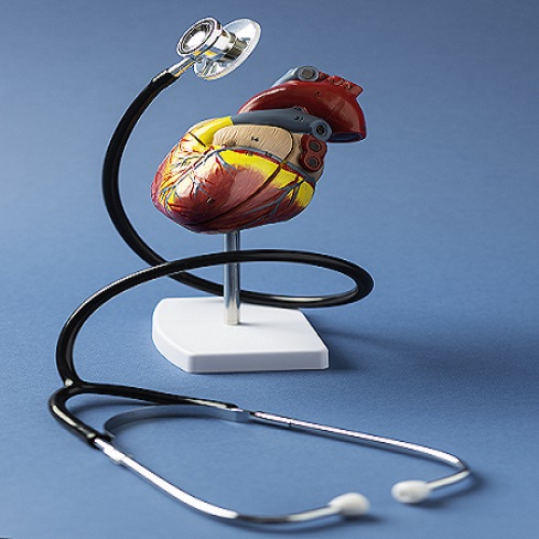 CARDIAC PREMIUM HEALTH CHECK UP